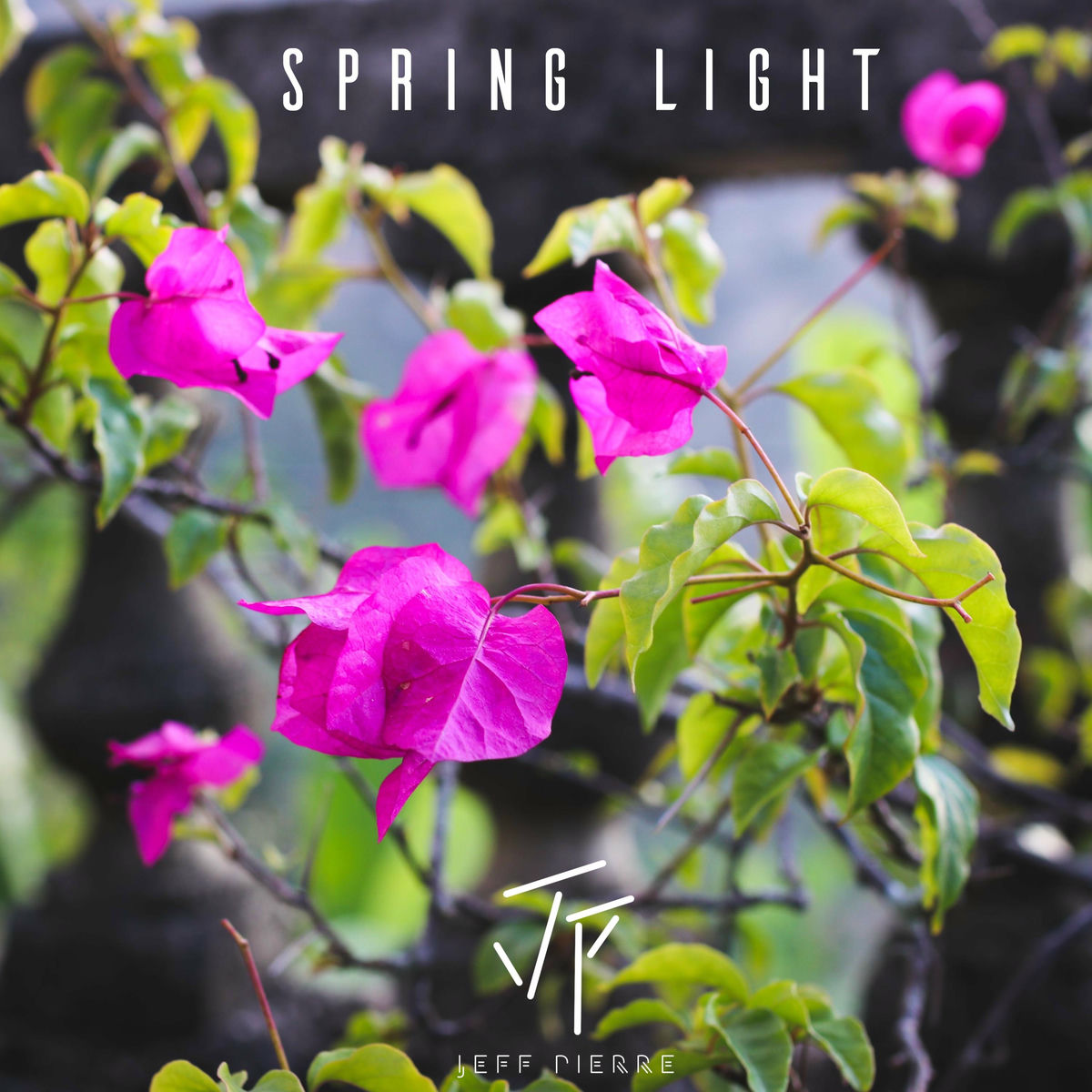 Spring Light