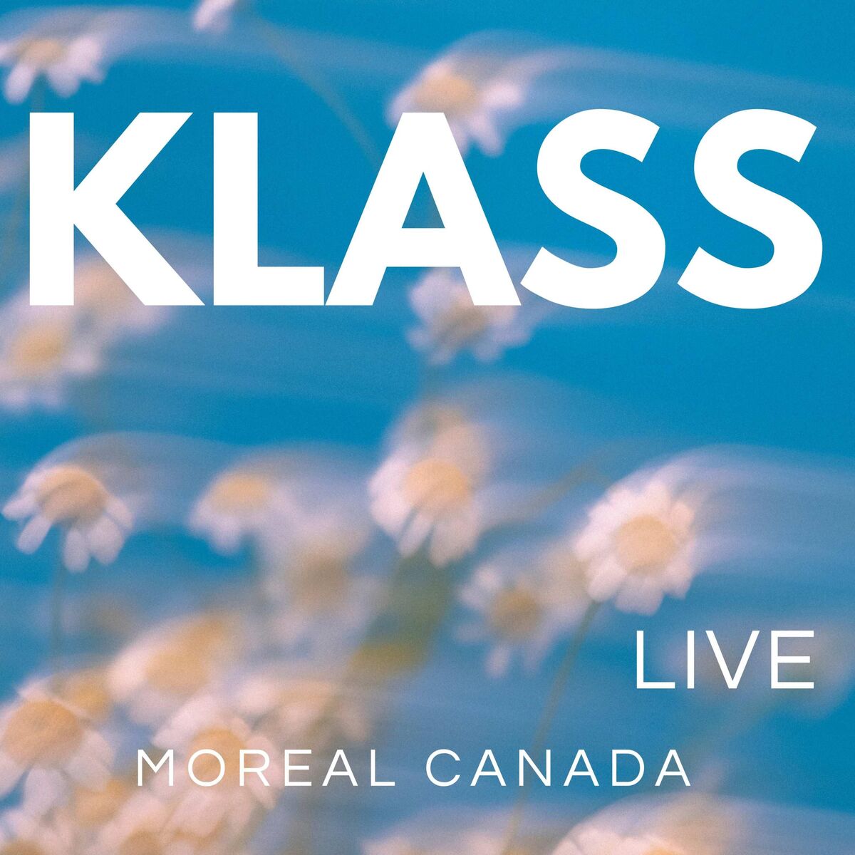 Live Montreal Canada