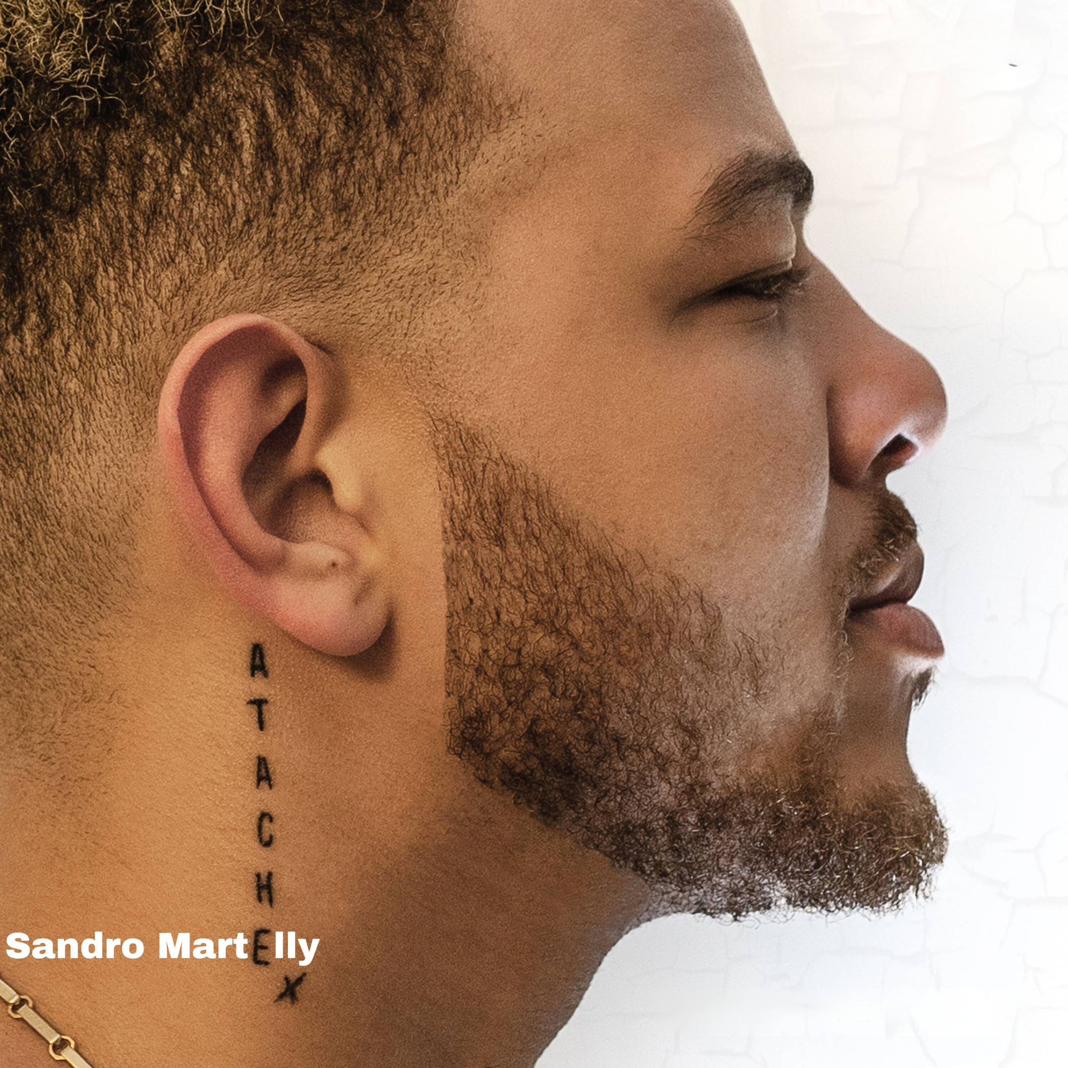 Sandro Martelly